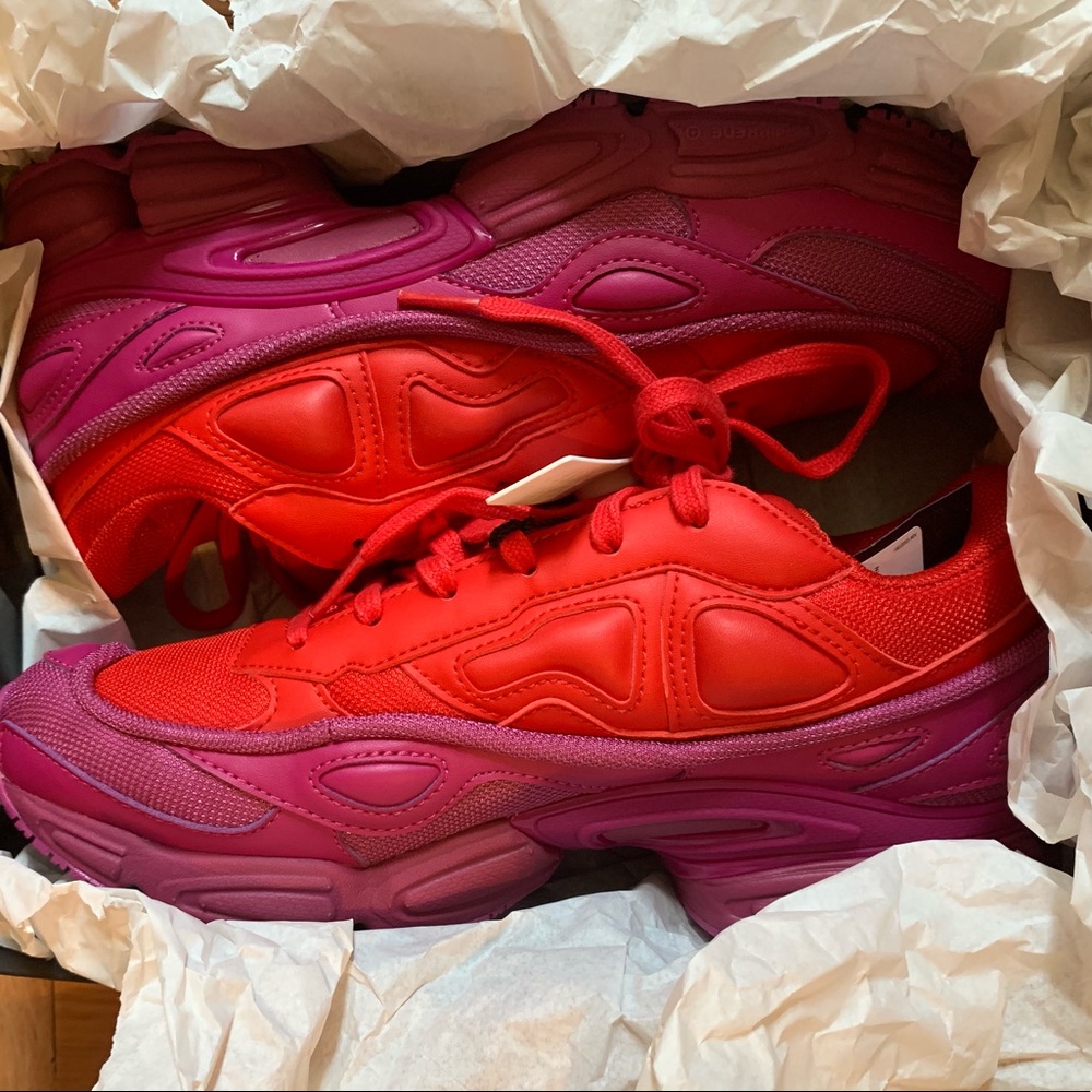 RAF SIMONS OZWEEGOS